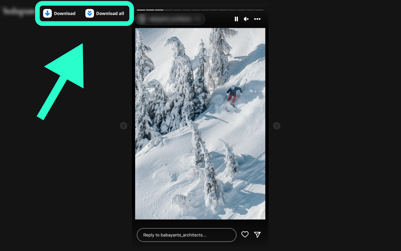 Ultra Downloader for Instagram chrome谷歌浏览器插件_扩展第1张截图