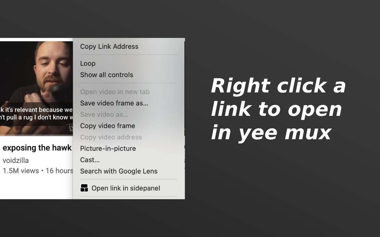 Yee mux chrome谷歌浏览器插件_扩展第2张截图