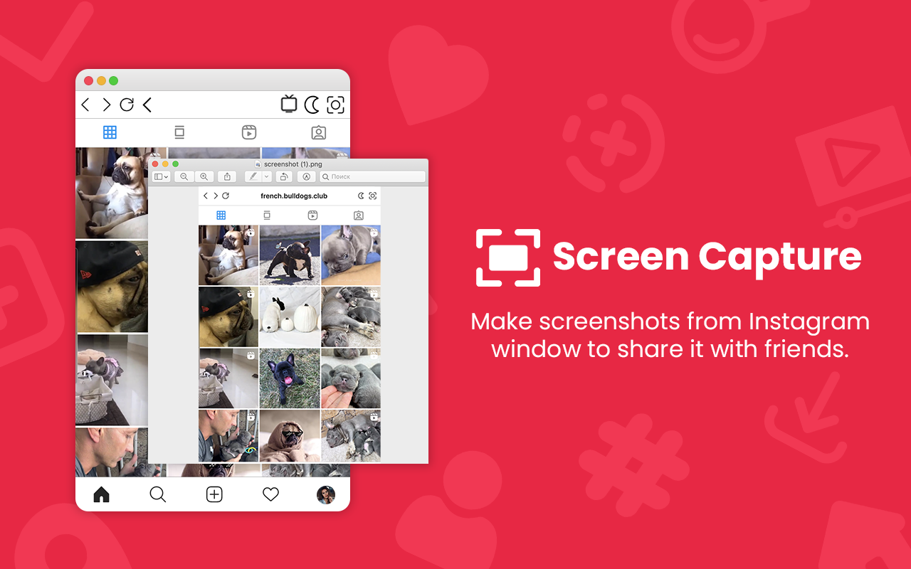 InSaverify | Web for Instagram™ chrome谷歌浏览器插件_扩展第3张截图