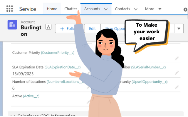 Salesforce Field Detective chrome谷歌浏览器插件_扩展第1张截图
