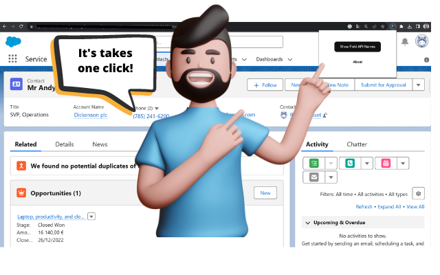 Salesforce Field Detective chrome谷歌浏览器插件_扩展第3张截图