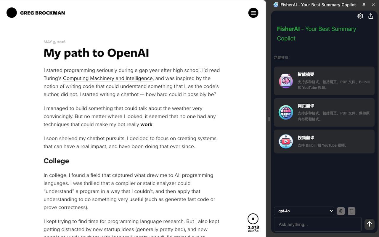 FisherAI - Your Best Summary Copilot: Free Gemini & DeepSeek chrome谷歌浏览器插件_扩展第1张截图