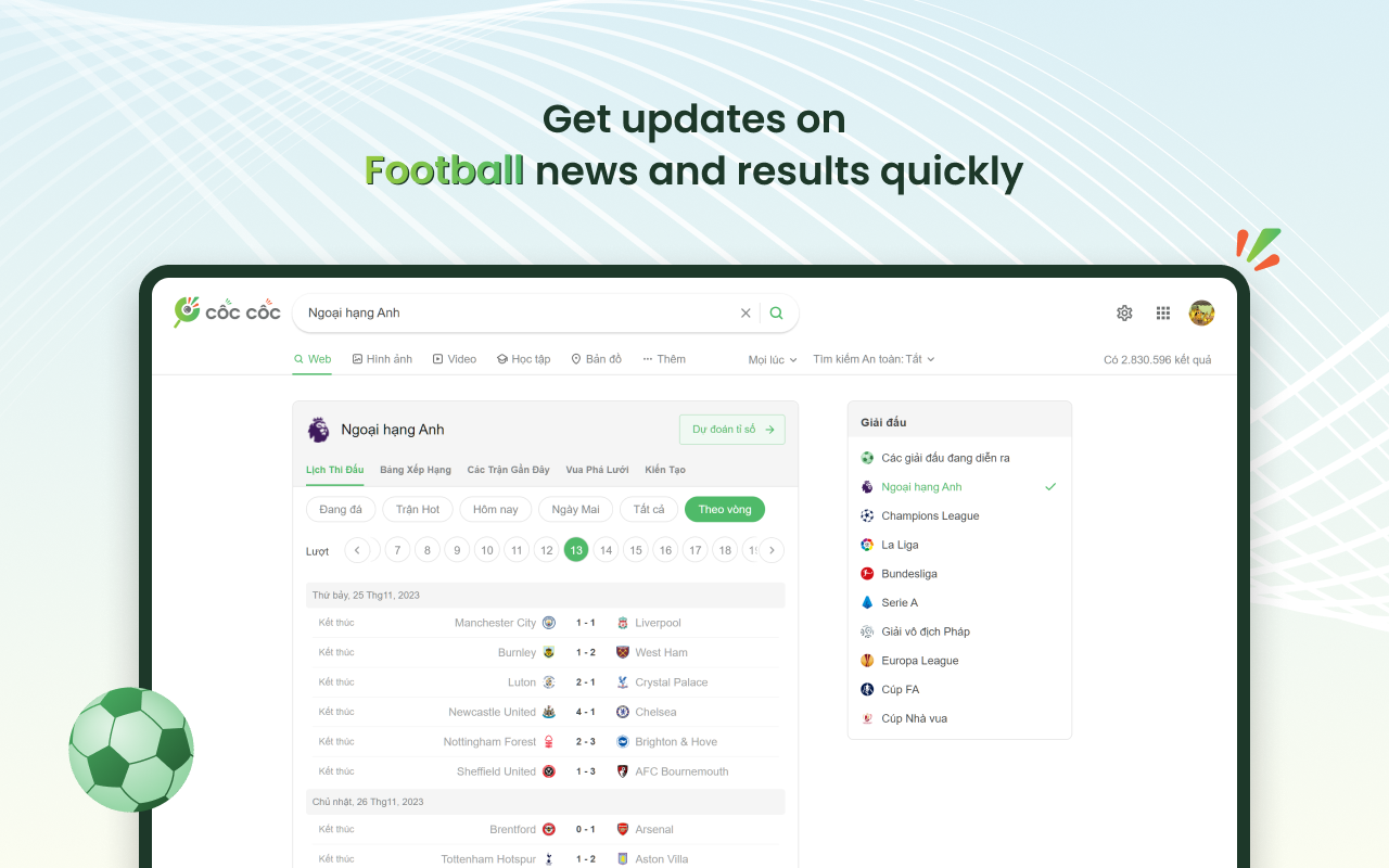 Cốc Cốc Search chrome谷歌浏览器插件_扩展第1张截图