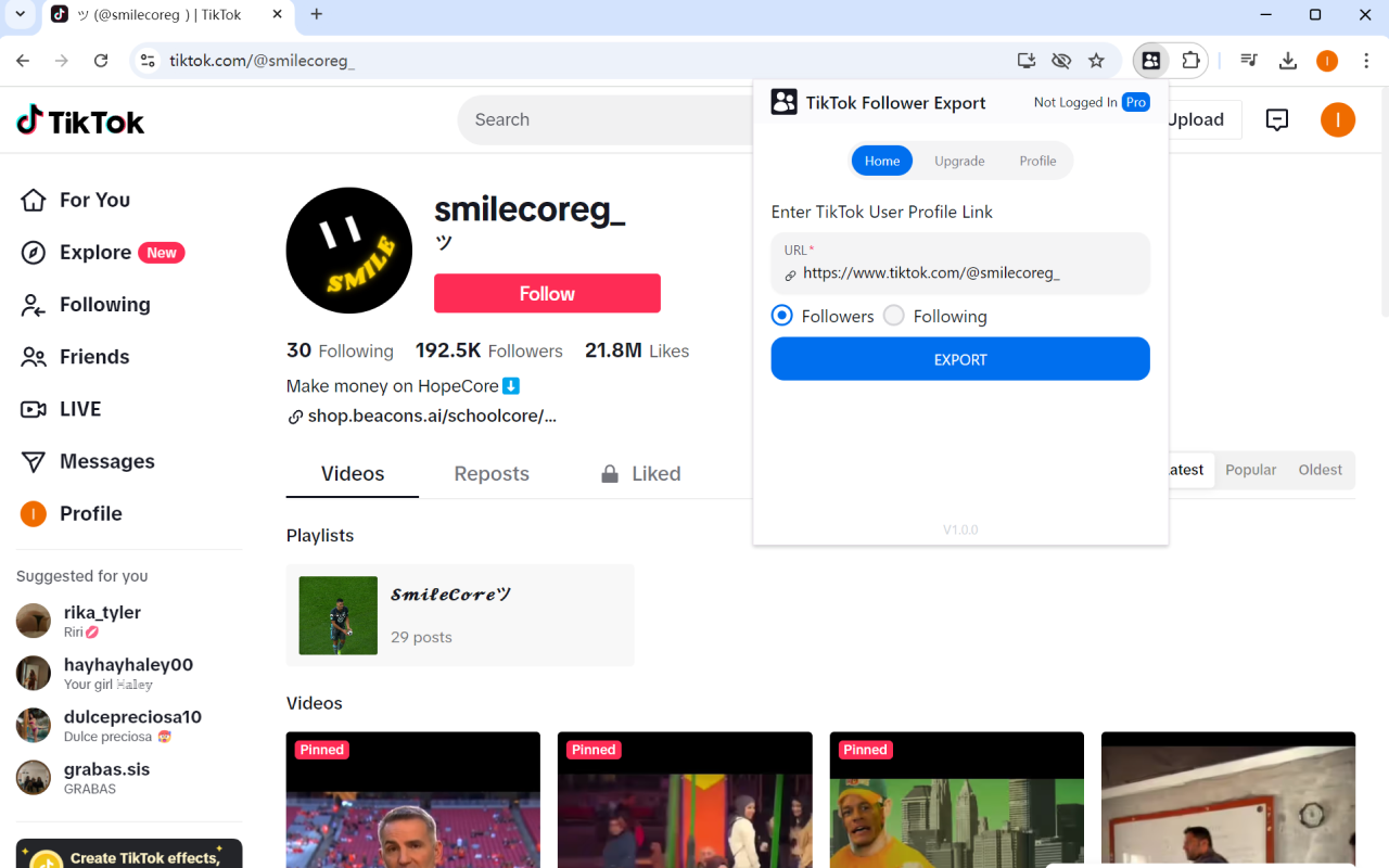 TikTok 粉丝导出工具 chrome谷歌浏览器插件_扩展第3张截图