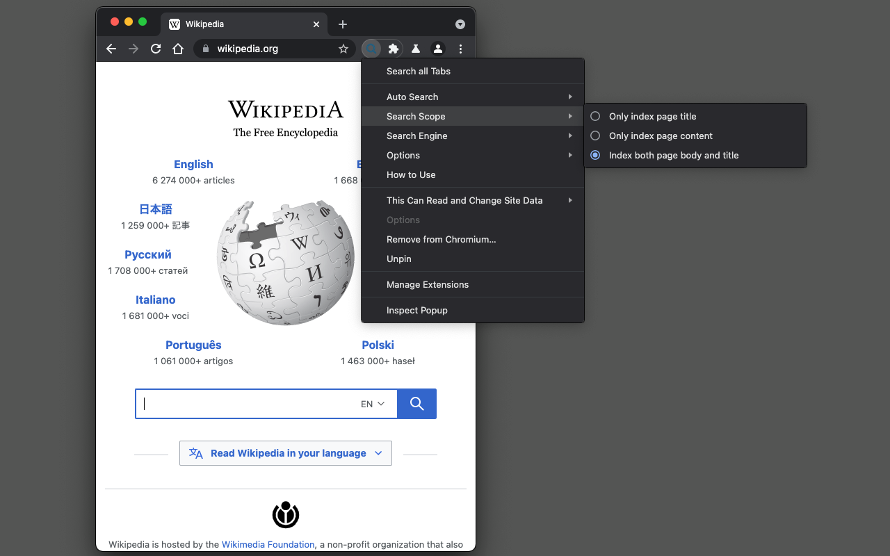 Search all Tabs chrome谷歌浏览器插件_扩展第1张截图