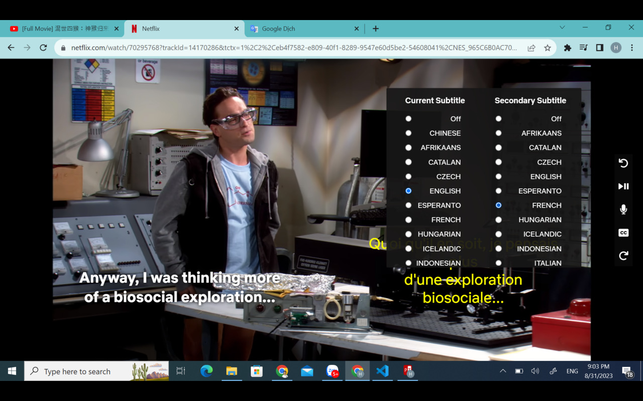 PinyinTube chrome谷歌浏览器插件_扩展第3张截图