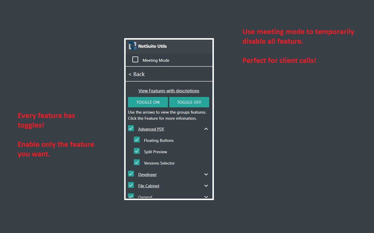 NetSuite Utils chrome谷歌浏览器插件_扩展第4张截图