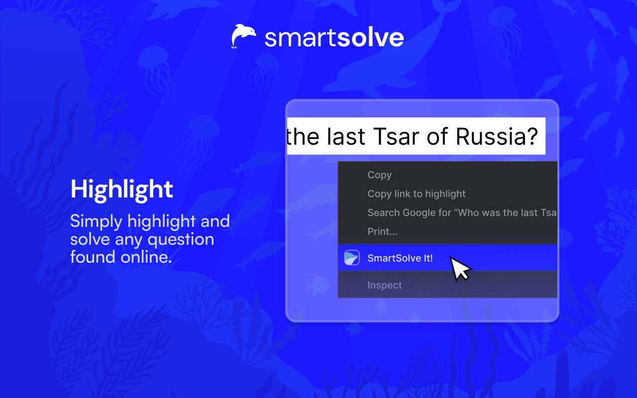 SmartSolve - AI Homework Solver chrome谷歌浏览器插件_扩展第2张截图