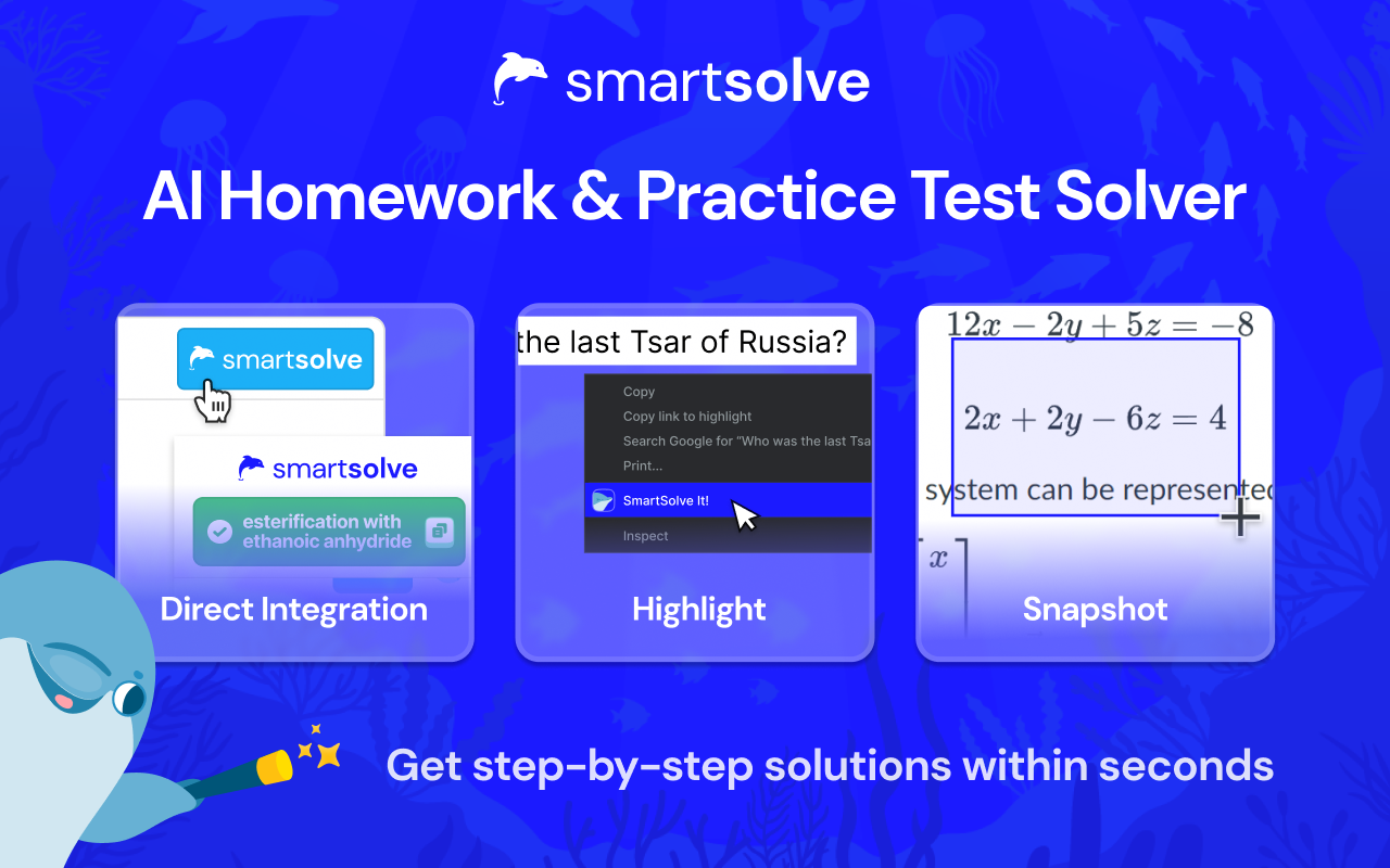 SmartSolve - AI Homework Solver chrome谷歌浏览器插件_扩展第4张截图