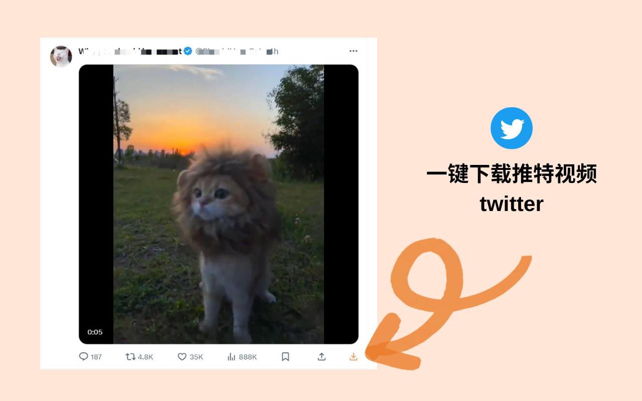 Twitter 视频下载器 chrome谷歌浏览器插件_扩展第1张截图