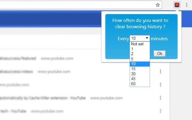 Chrome History Cleaner chrome谷歌浏览器插件_扩展第1张截图