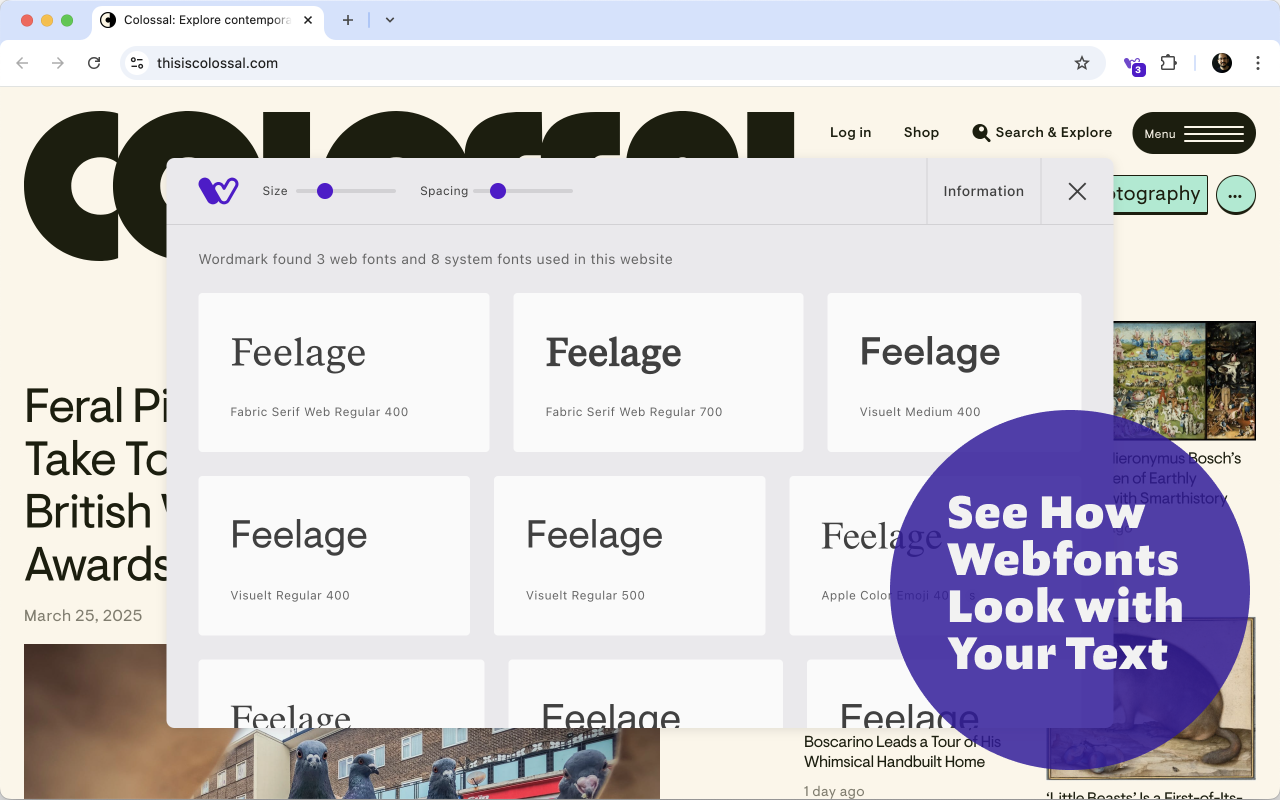 Wordmark Extension chrome谷歌浏览器插件_扩展第3张截图