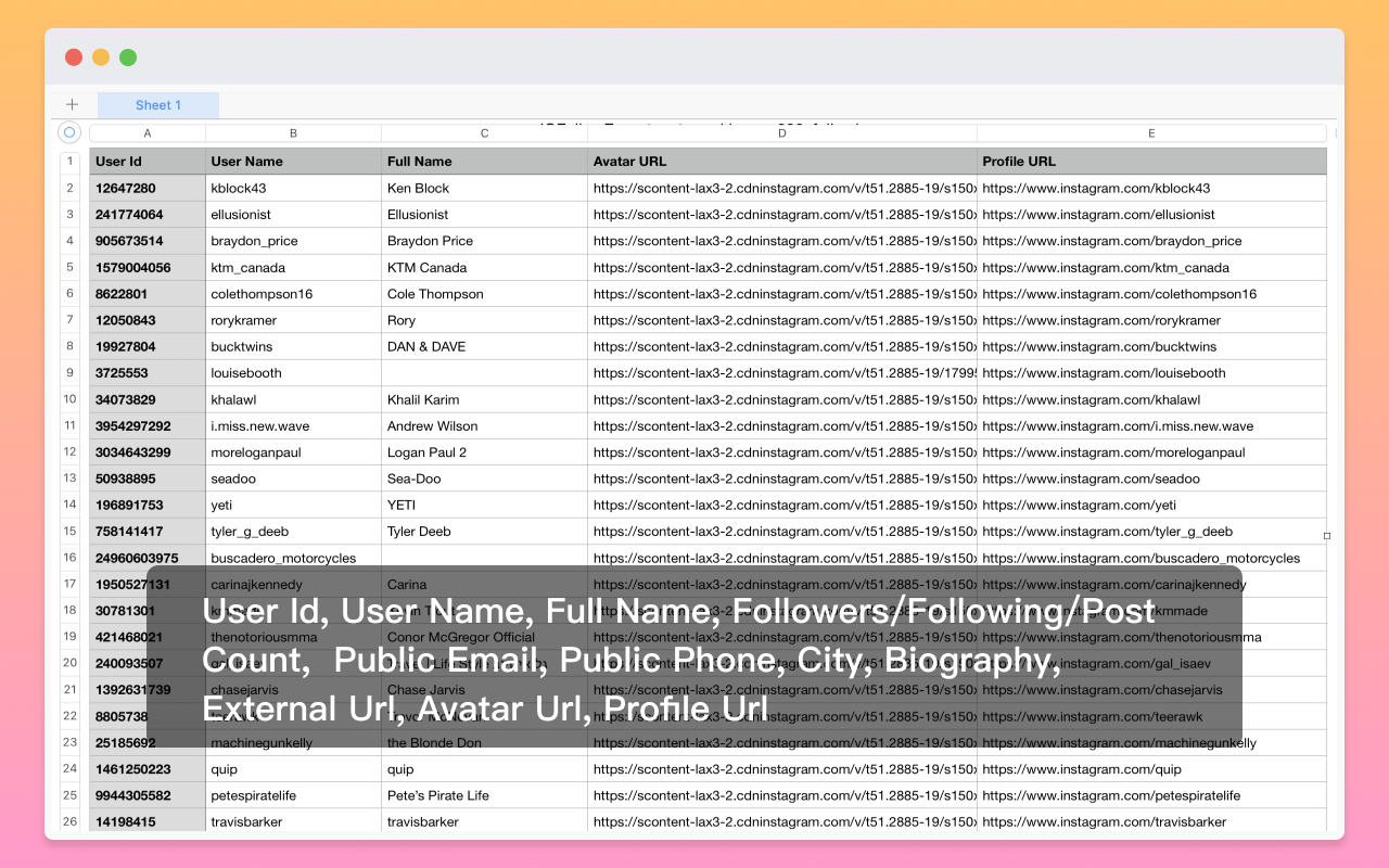 Follower Data Exporter for IG chrome谷歌浏览器插件_扩展第2张截图