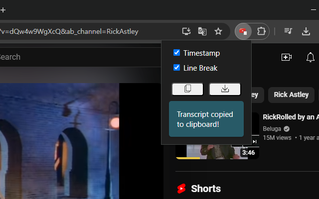 YouTube Script Extractor chrome谷歌浏览器插件_扩展第1张截图