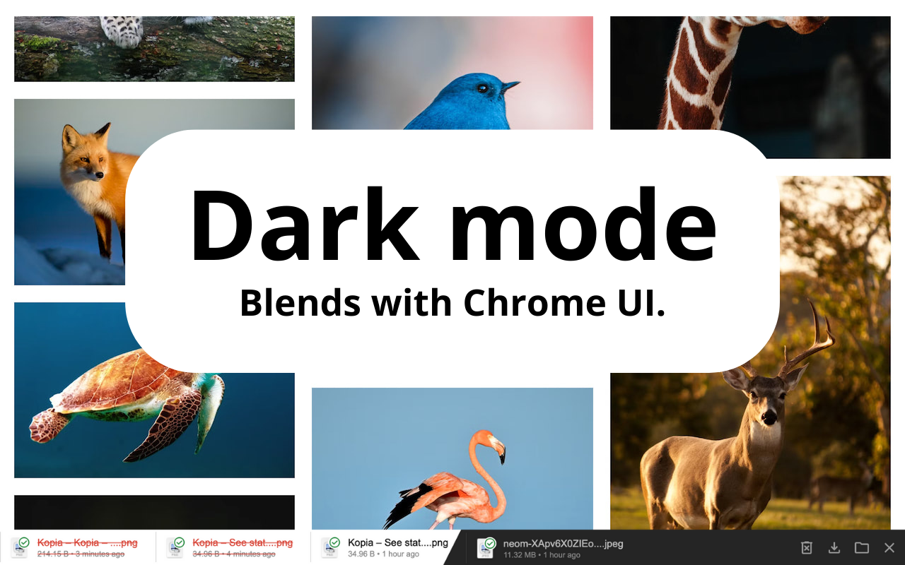 Filebar - Download Bar chrome谷歌浏览器插件_扩展第5张截图