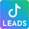 TikTok Leads