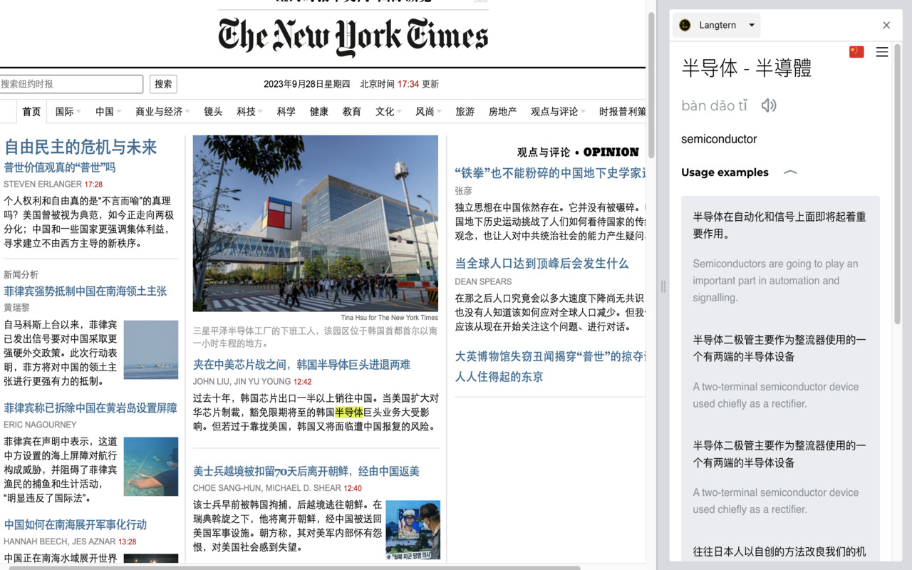 Langtern chrome谷歌浏览器插件_扩展第1张截图