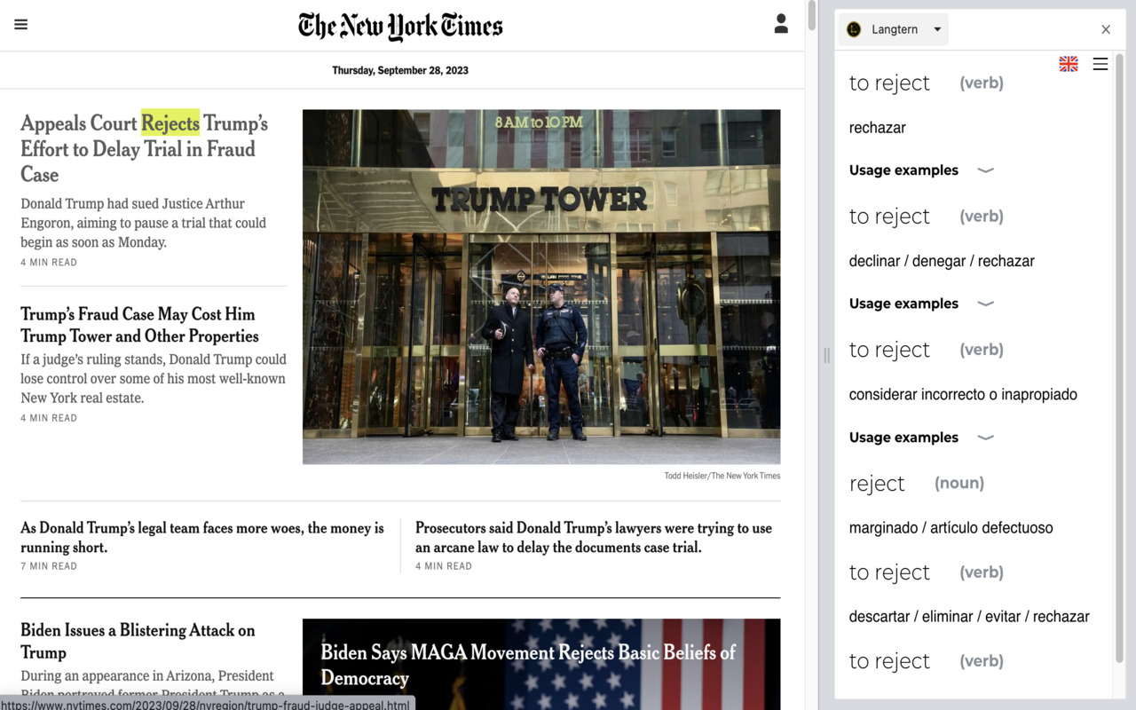 Langtern chrome谷歌浏览器插件_扩展第2张截图