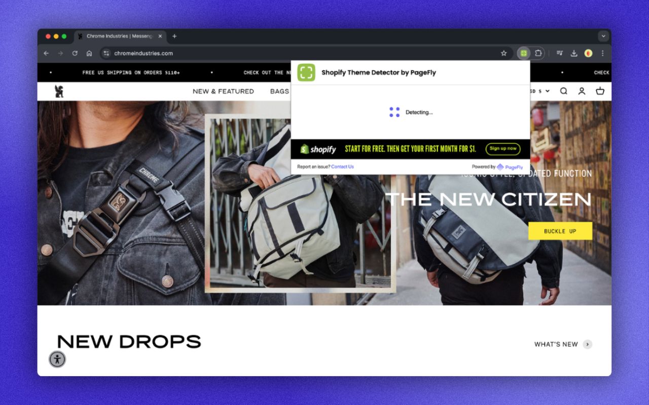 Shopify Theme Detector by PageFly Extension chrome谷歌浏览器插件_扩展第1张截图