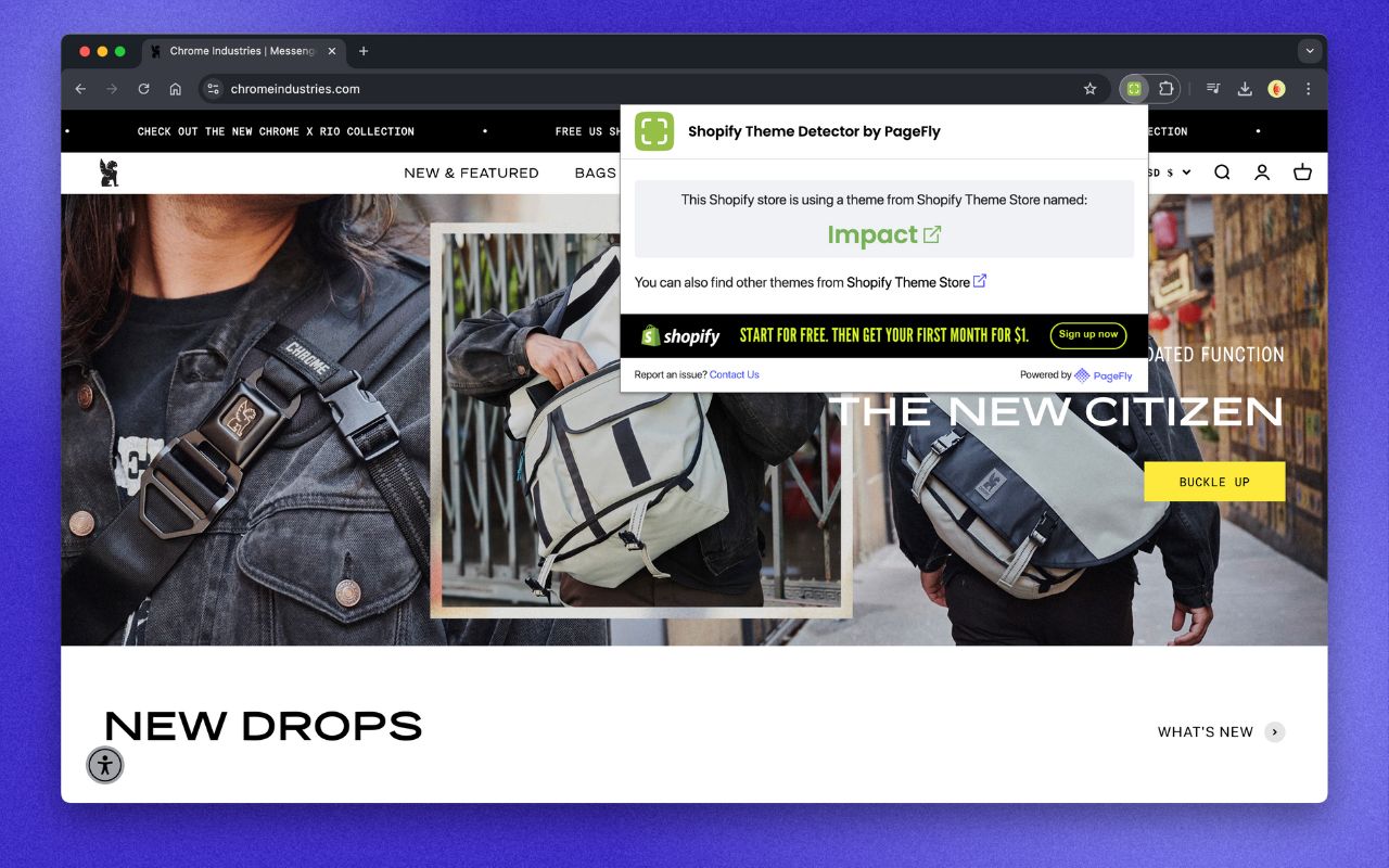 Shopify Theme Detector by PageFly Extension chrome谷歌浏览器插件_扩展第2张截图