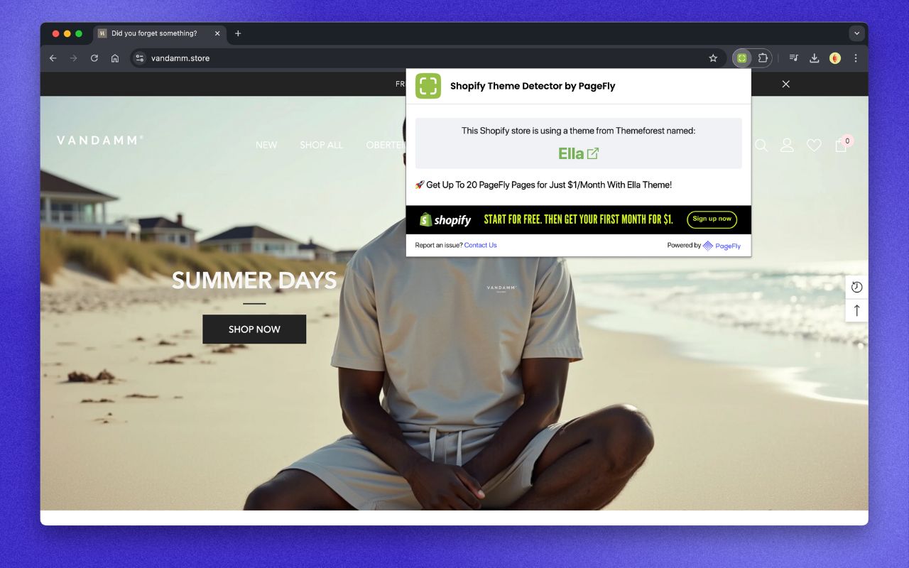 Shopify Theme Detector by PageFly Extension chrome谷歌浏览器插件_扩展第3张截图