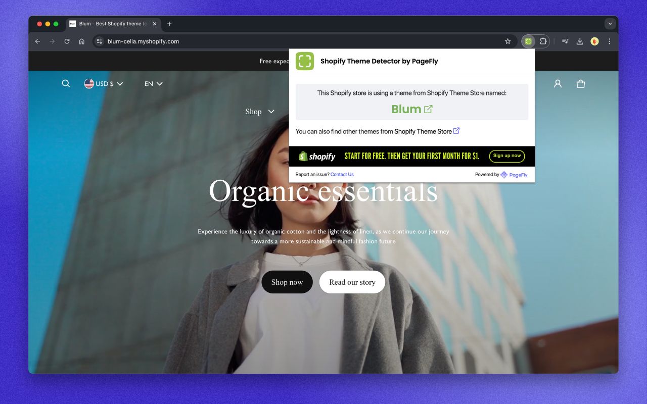 Shopify Theme Detector by PageFly Extension chrome谷歌浏览器插件_扩展第4张截图
