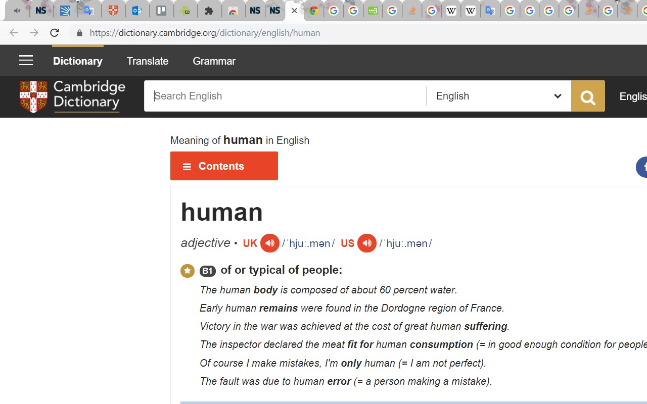 Cambridge Dictionary chrome谷歌浏览器插件_扩展第2张截图