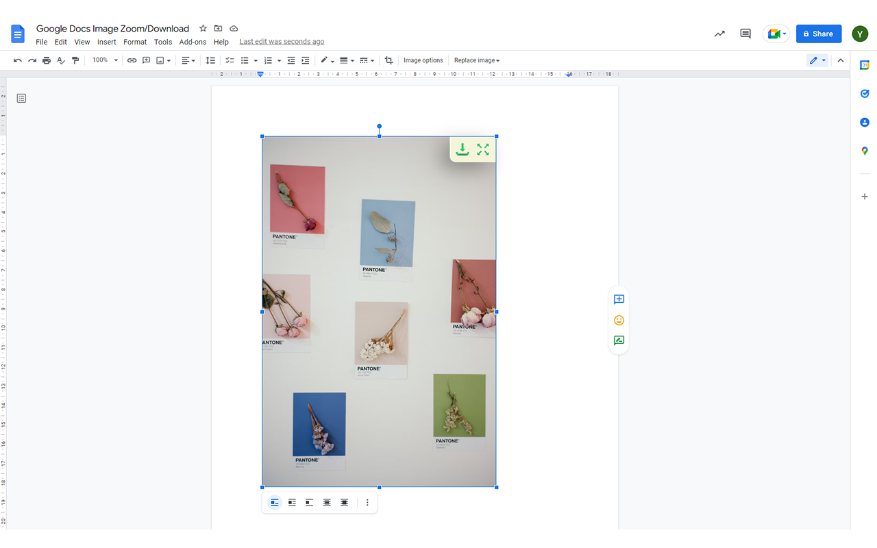 Google Docs Image Zoom chrome谷歌浏览器插件_扩展第2张截图