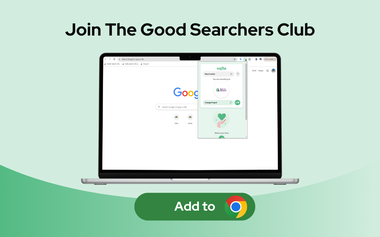 VolteX Chrome Extension chrome谷歌浏览器插件_扩展第4张截图