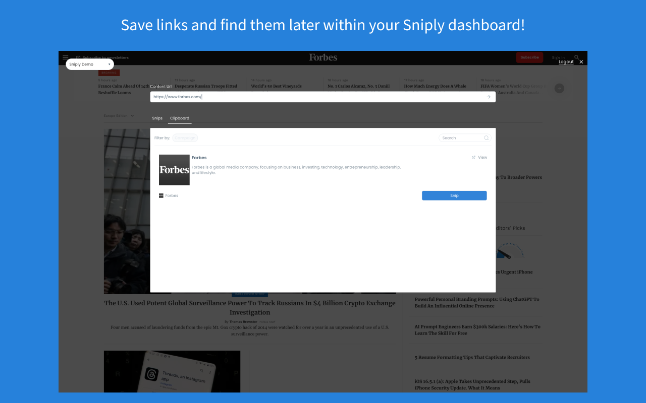 Sniply Browser Extension chrome谷歌浏览器插件_扩展第2张截图