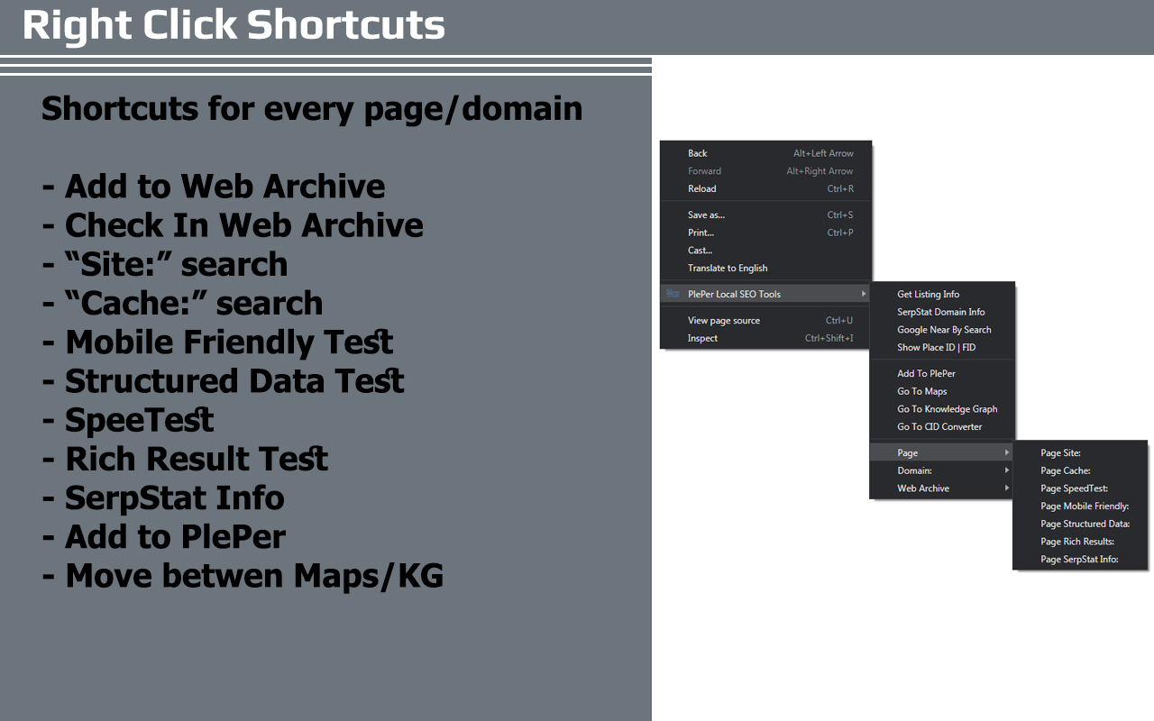PlePer Local SEO Tools chrome谷歌浏览器插件_扩展第1张截图