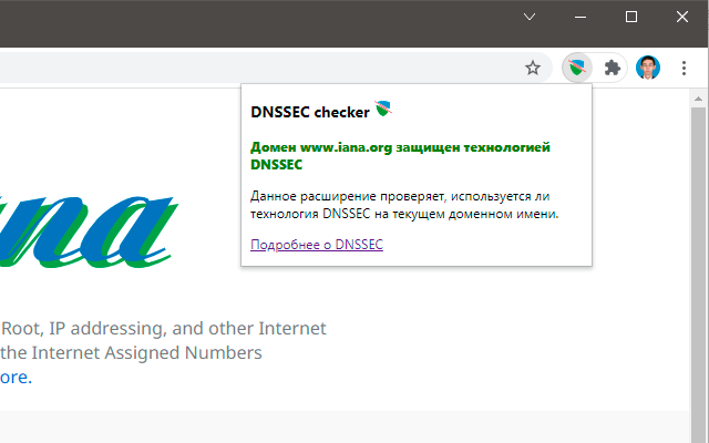 DNSSEC Checker chrome谷歌浏览器插件_扩展第2张截图