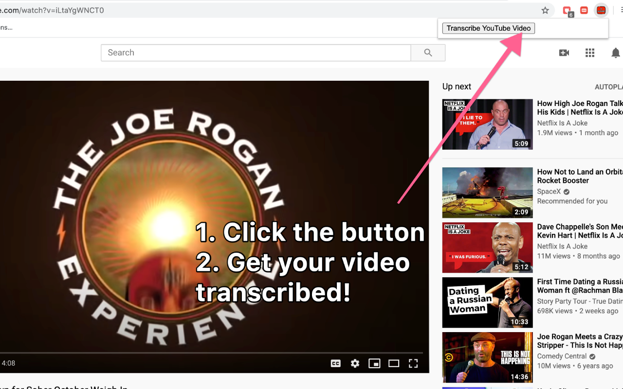 Transcribe YouTube Videos - YTScribe chrome谷歌浏览器插件_扩展第3张截图
