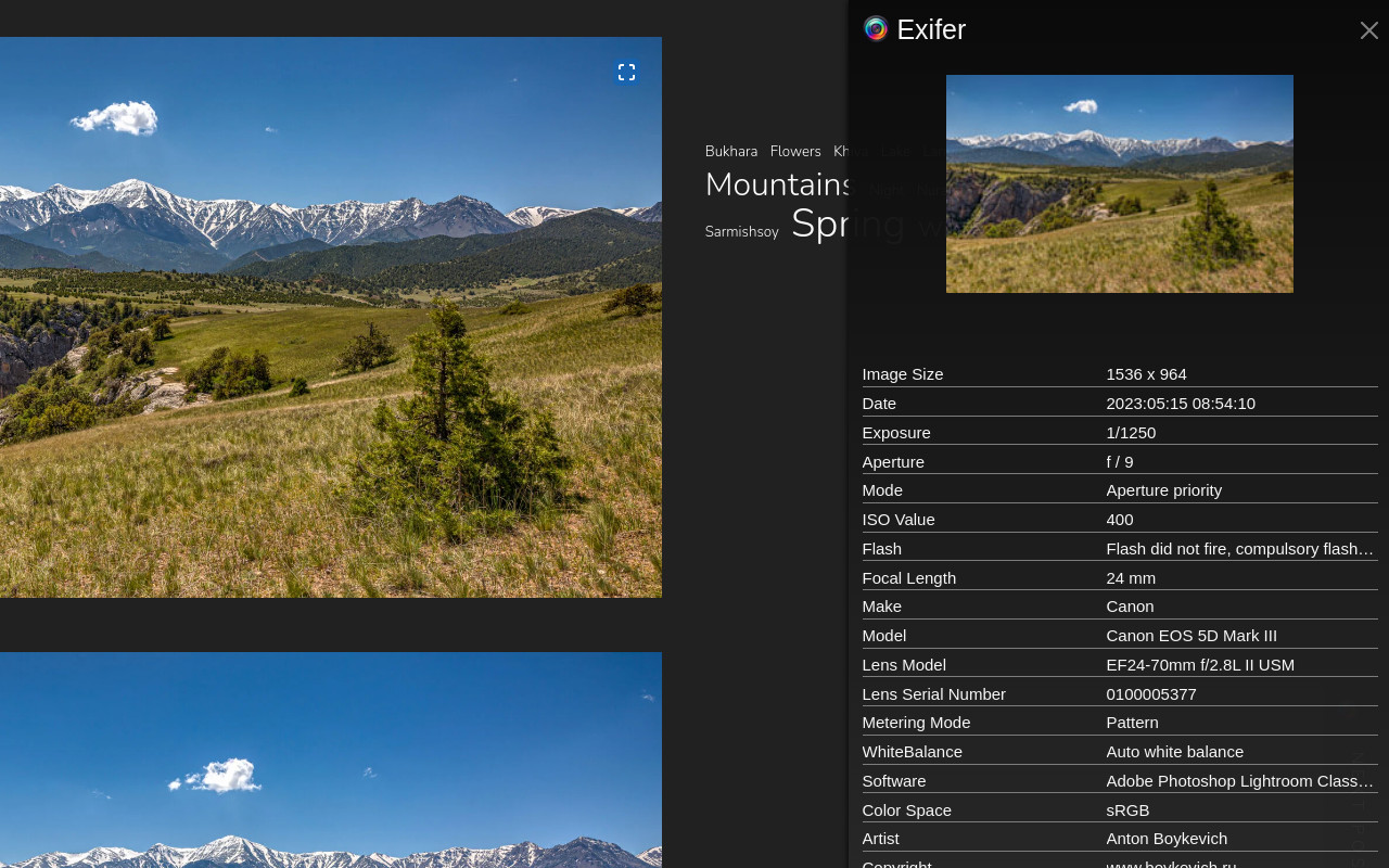 Exifer chrome谷歌浏览器插件_扩展第2张截图