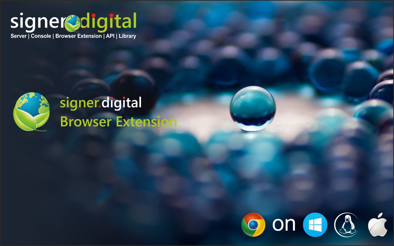 Signer.Digital Digital Signature, PKI chrome谷歌浏览器插件_扩展第3张截图