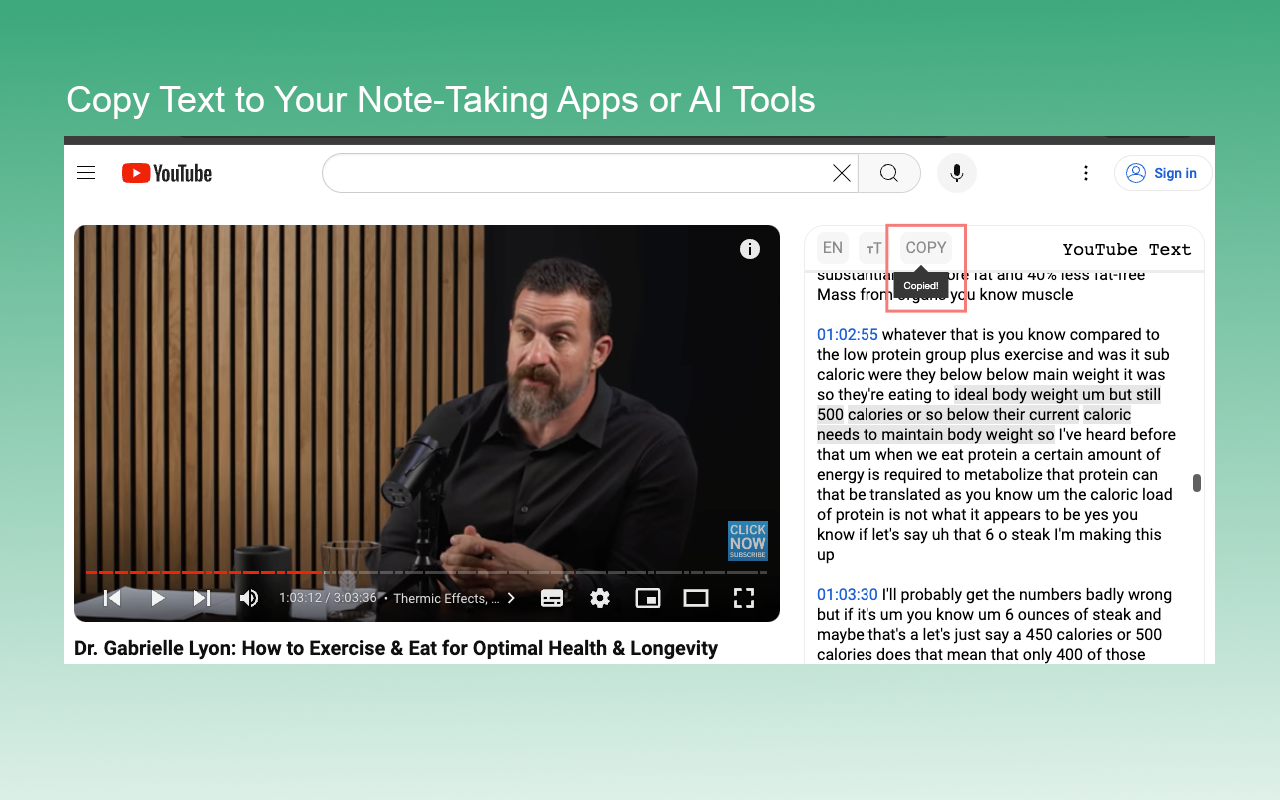 YouTube Text Tools chrome谷歌浏览器插件_扩展第2张截图