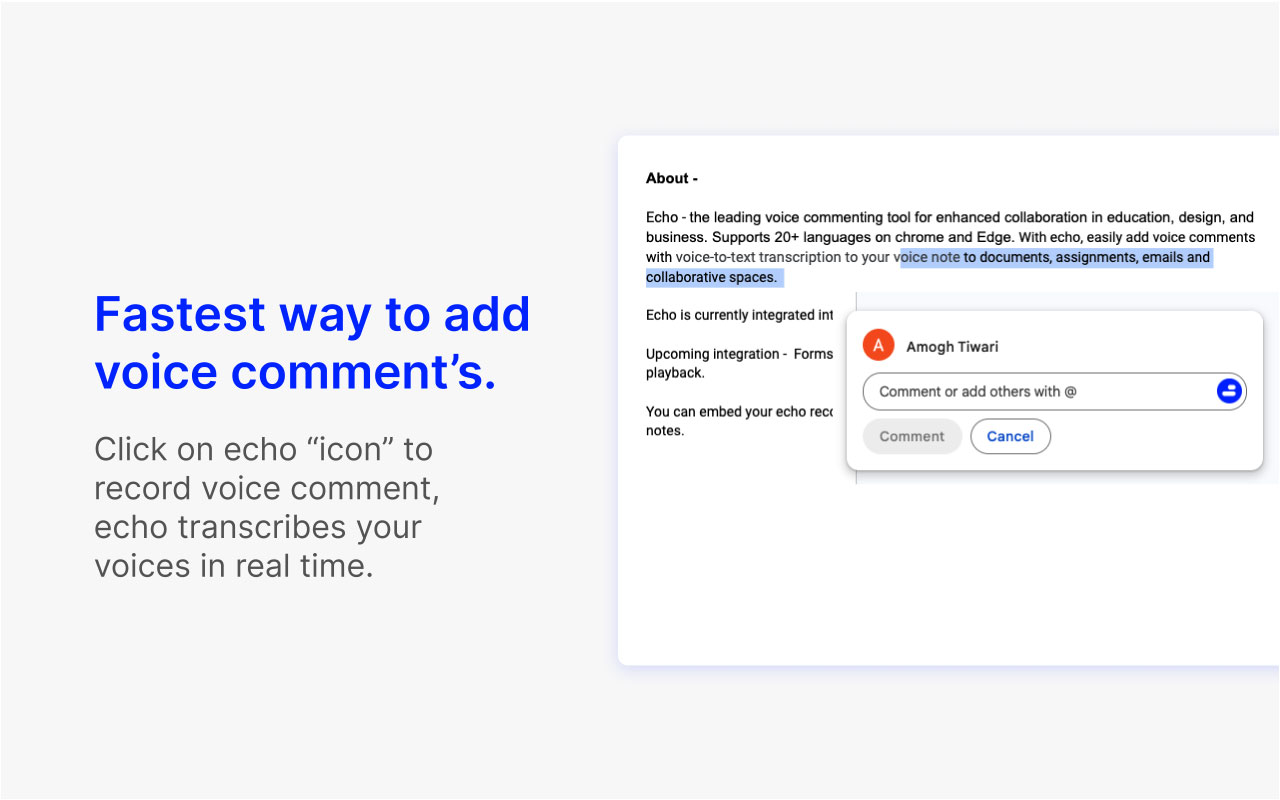 Echo | Faster, Friendly Voice comments chrome谷歌浏览器插件_扩展第3张截图