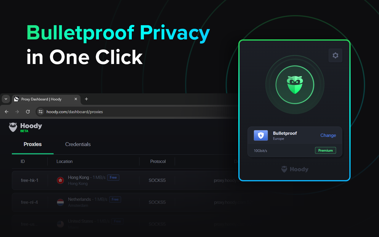 Hoody Privacy Manager chrome谷歌浏览器插件_扩展第1张截图