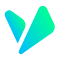 Vite Passport