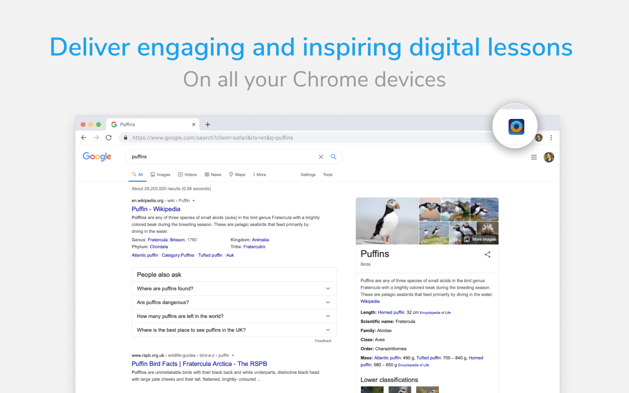 Backdrop Chrome chrome谷歌浏览器插件_扩展第1张截图
