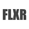 FLEXER LOGO 图标