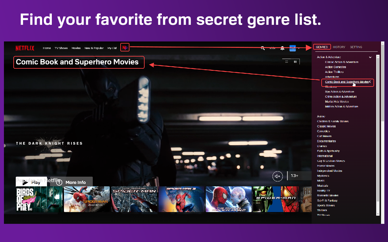 Netflix Pixie chrome谷歌浏览器插件_扩展第3张截图