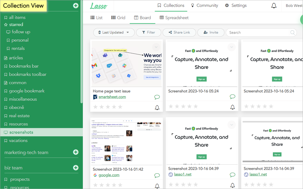 Screenshot & Bookmark Manager by Lasso chrome谷歌浏览器插件_扩展第3张截图