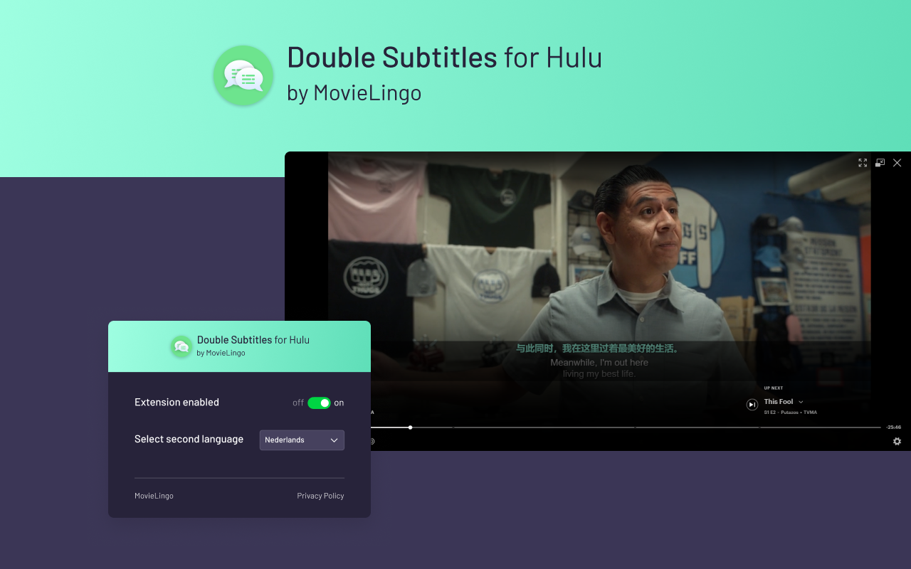 Double Subtitles for Hulu by MovieLingo chrome谷歌浏览器插件_扩展第3张截图