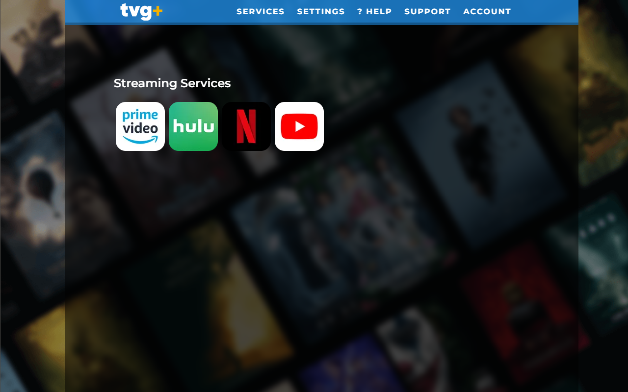 tvg+ chrome谷歌浏览器插件_扩展第3张截图