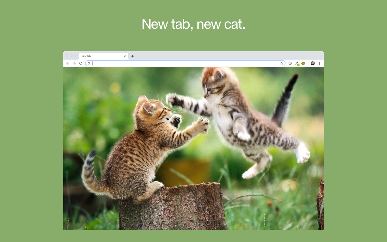 Meow Meow Woof chrome谷歌浏览器插件_扩展第3张截图