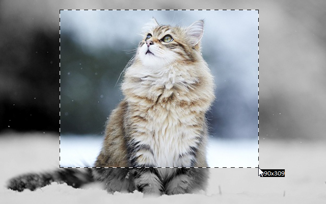 Скриншотер, Запись Экрана, ChatGPT chrome谷歌浏览器插件_扩展第2张截图