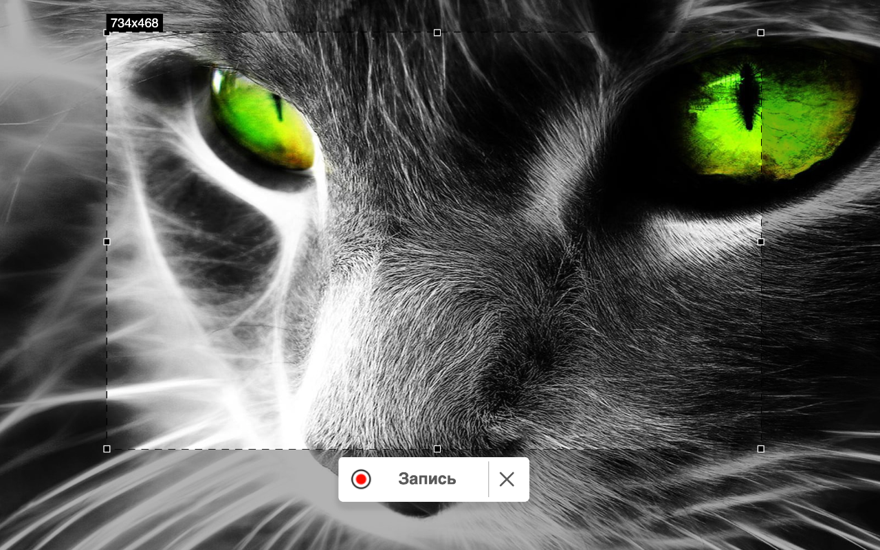 Скриншотер, Запись Экрана, ChatGPT chrome谷歌浏览器插件_扩展第3张截图