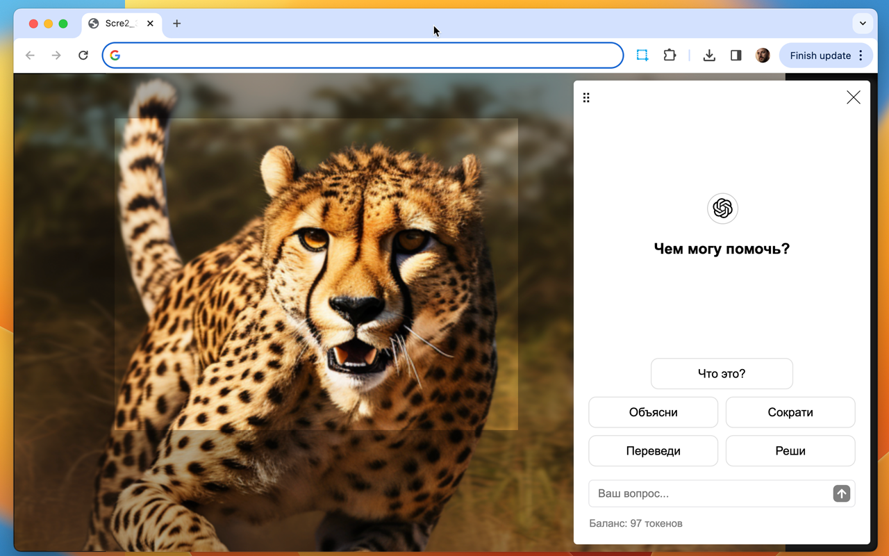 Скриншотер, Запись Экрана, ChatGPT chrome谷歌浏览器插件_扩展第4张截图