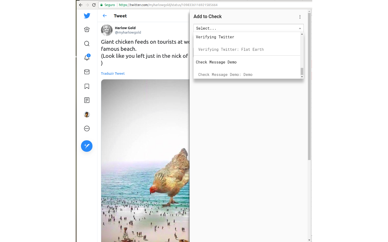 Check chrome谷歌浏览器插件_扩展第3张截图